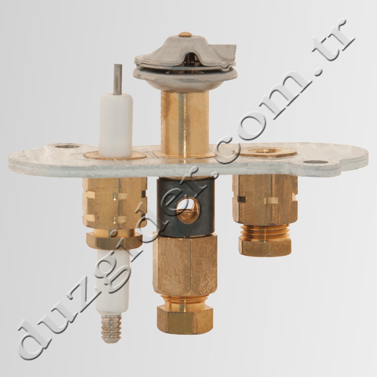 Doğalgaz Pilot Grubu